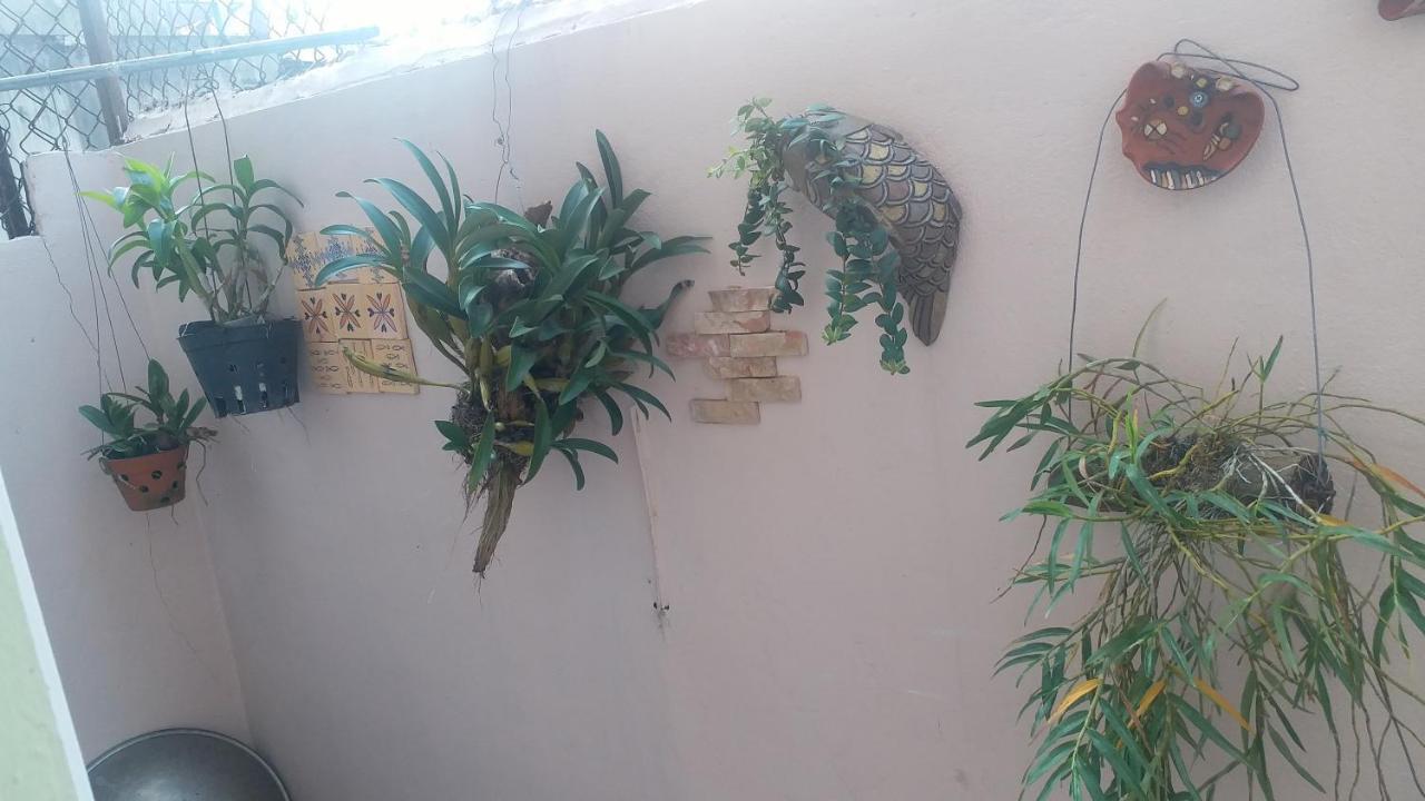 Kota'S House Homestay Hue Habitación foto